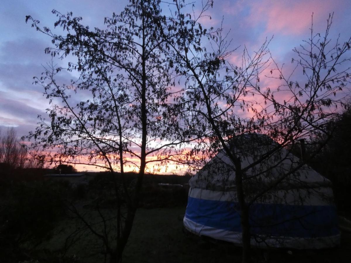 Inch Hideaway Eco Camping Whitegate  Exterior foto